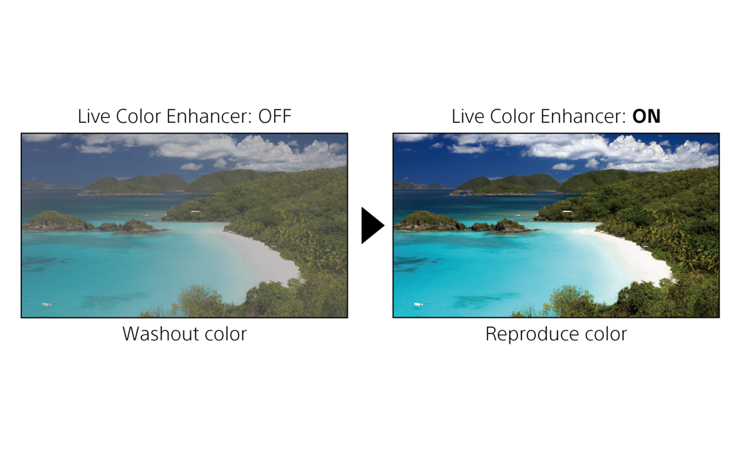 Comparison of tropical island scene with Live Colour Enhancer off on the left showing washed-out colours and on the right with vibrant colours.