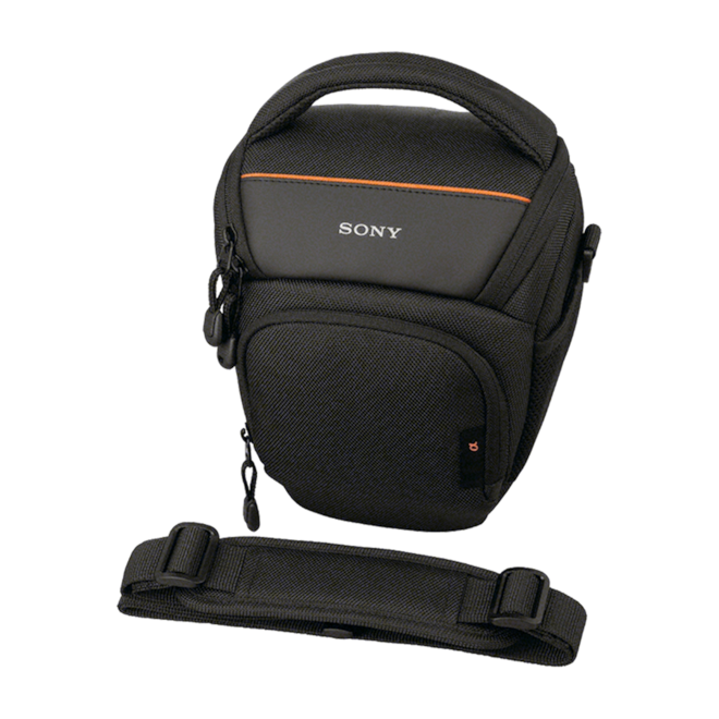 ソニー SONY ハードキャリングケース ゴールド LCH-TW1/N ソニー SONY ハードキャリングケース ゴールド LCH-TW1/N 【公式通販】