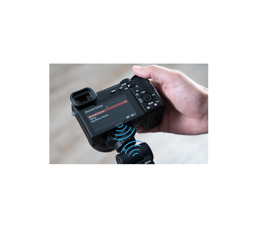 Buy GPVPT2BTB & View Price for Shooting Grip With Wireless Remote